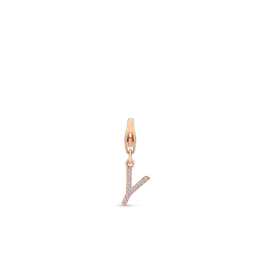 Charme Bracelet Y Pendant