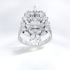 Design Diamond Ring